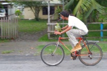 3. Ultralangstreckenlauf - Einheimischer fährt mit Vögeln auf Fahrrad