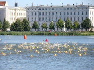 8. Schweriner Schlossschwimmen